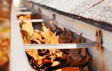 Thwing gutter cleaning companies