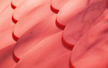 Thwing plastic roof costs