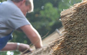 professional Thwing thatchers