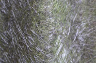 Thwing fibreglass roof work