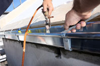 free Thwing fascia quotes